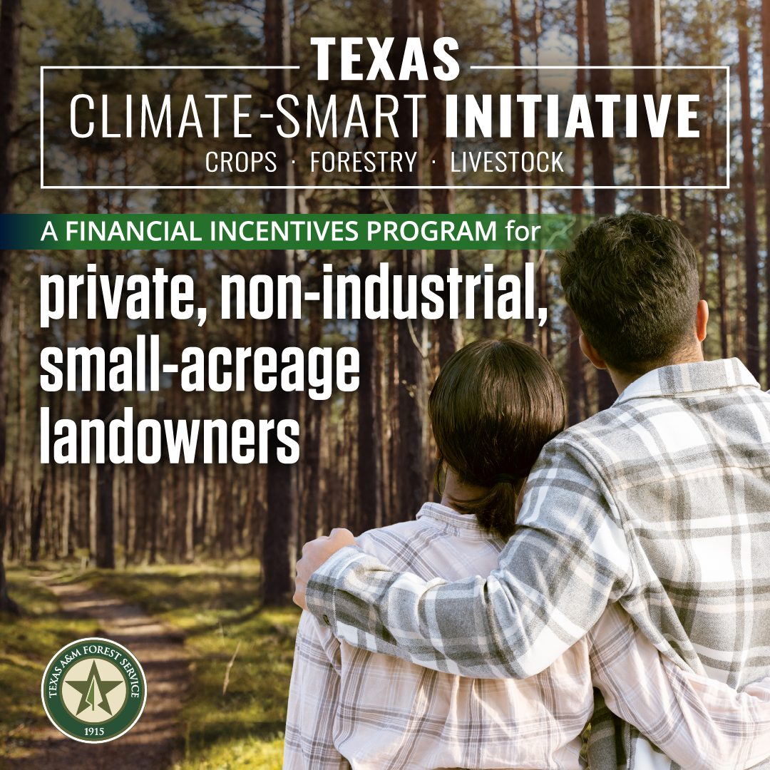 Texas A&M Forest Service is awarding $8.25 million through the Texas Climate-Smart Initiative, a financial incentives program to fund non-industrial, private, small-acreage landowners.